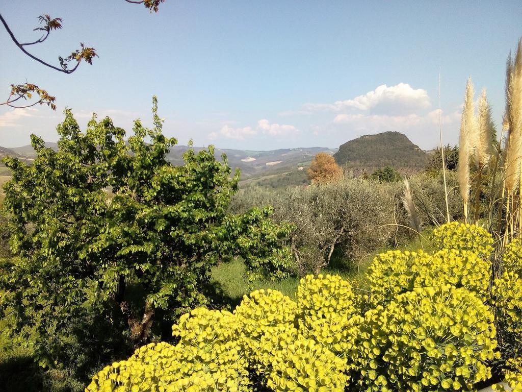 Villa Il Palazzino Volterra Bagian luar foto